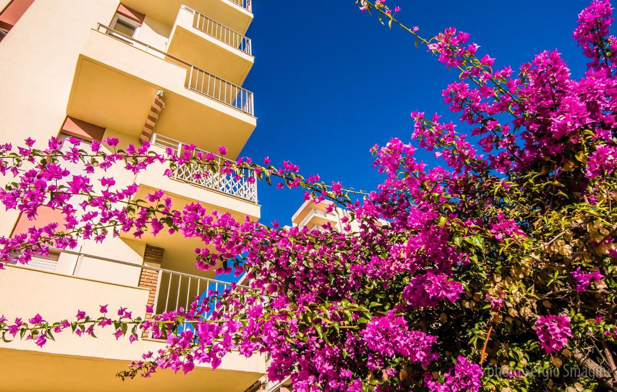 426 Estudio En Minerva Apartamentos - Vista Al Jardin - Piscina Y Playa Беналмадена Екстериор снимка