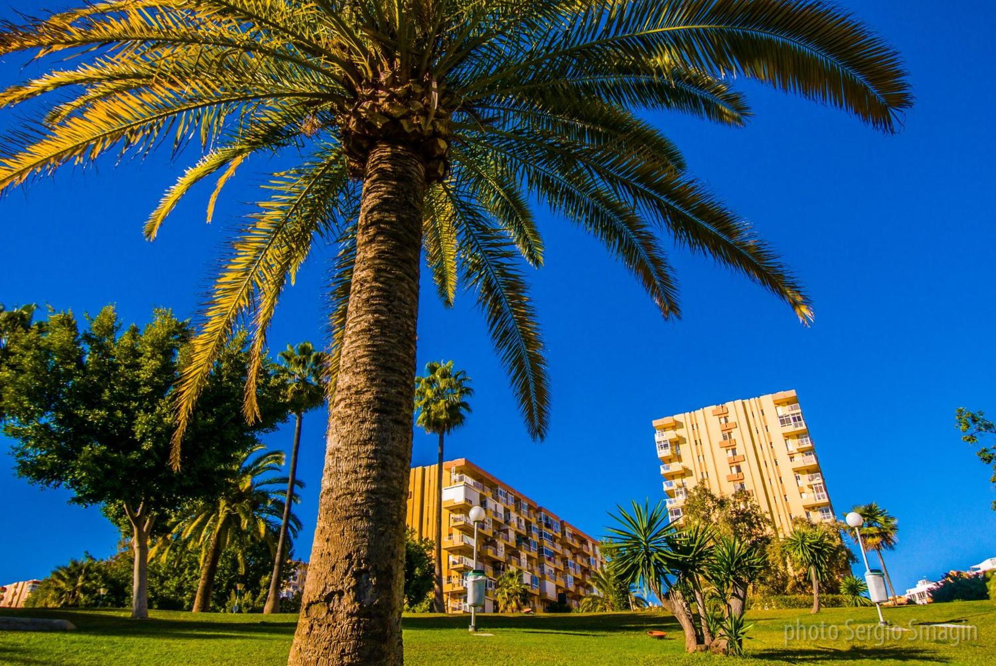 426 Estudio En Minerva Apartamentos - Vista Al Jardin - Piscina Y Playa Беналмадена Екстериор снимка